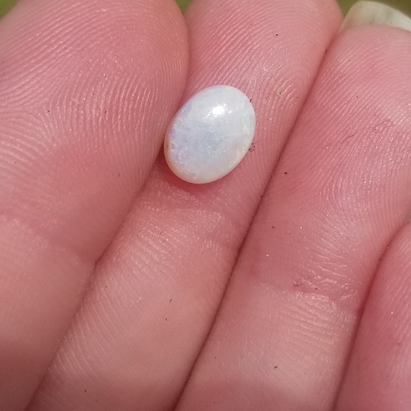 Meet your Posher, Oriana - Picture 8 of 8